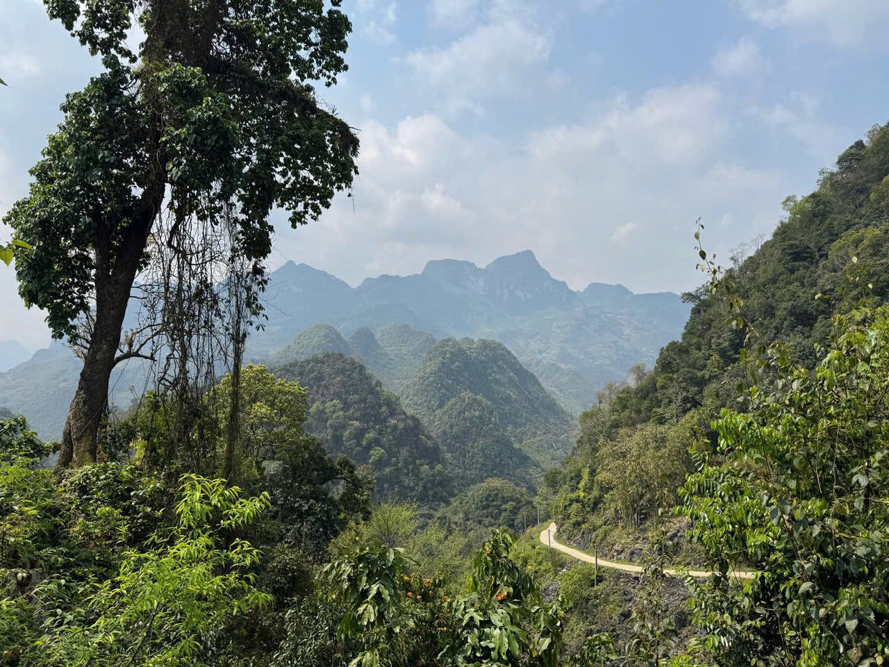 10-Day Ha Giang Loop & Hoang Su Phi Cycling Adventure
